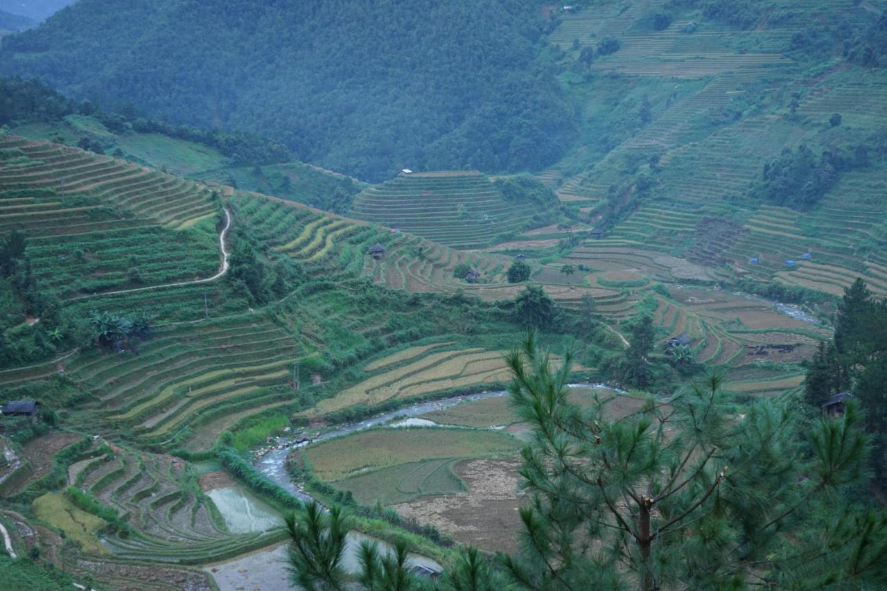 Hello Mu Cang Chai Homestay & Tours Extérieur photo