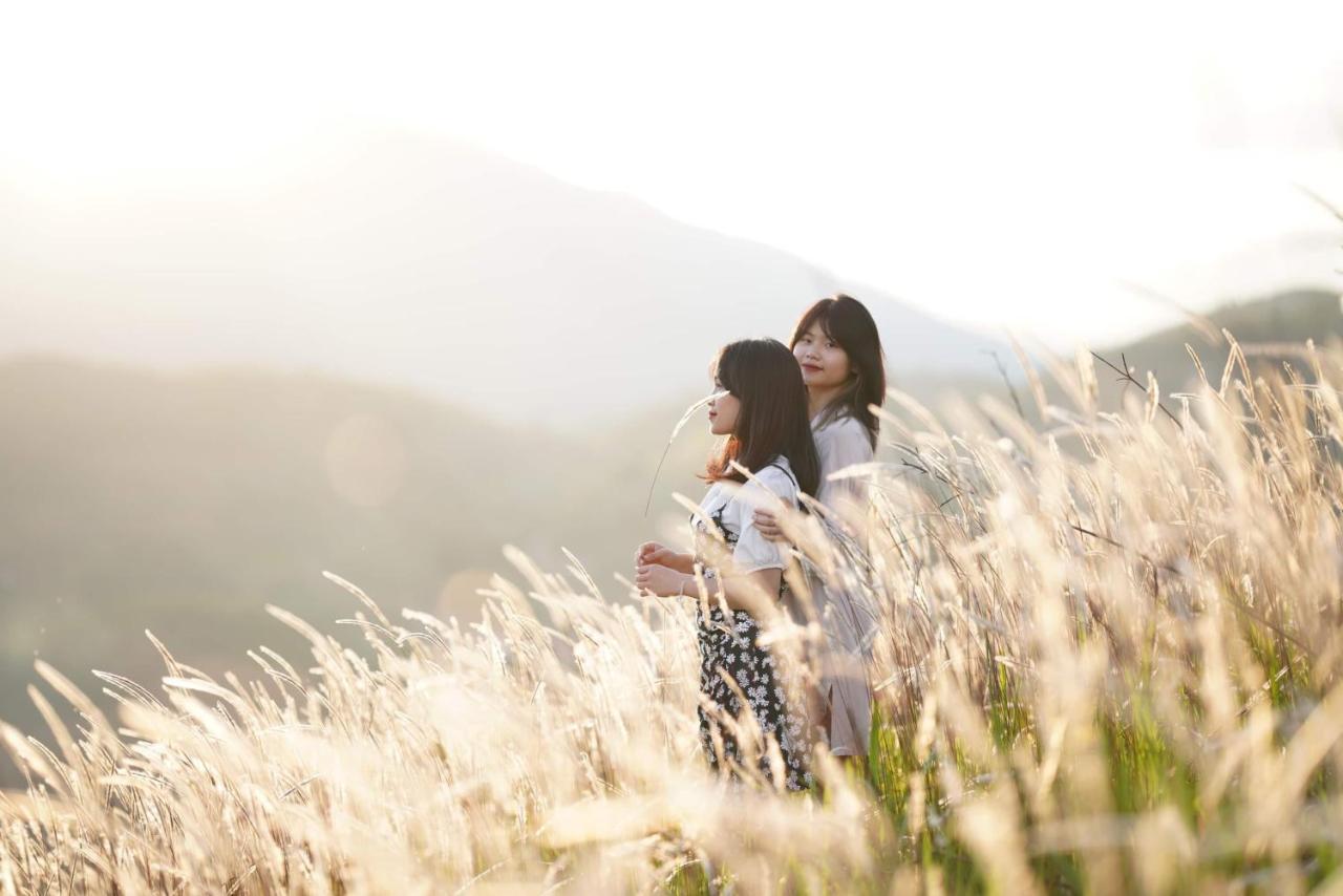 Hello Mu Cang Chai Homestay & Tours Extérieur photo