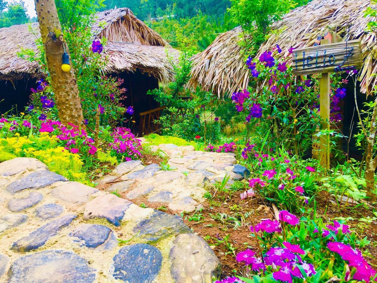 Hello Mu Cang Chai Homestay & Tours Extérieur photo
