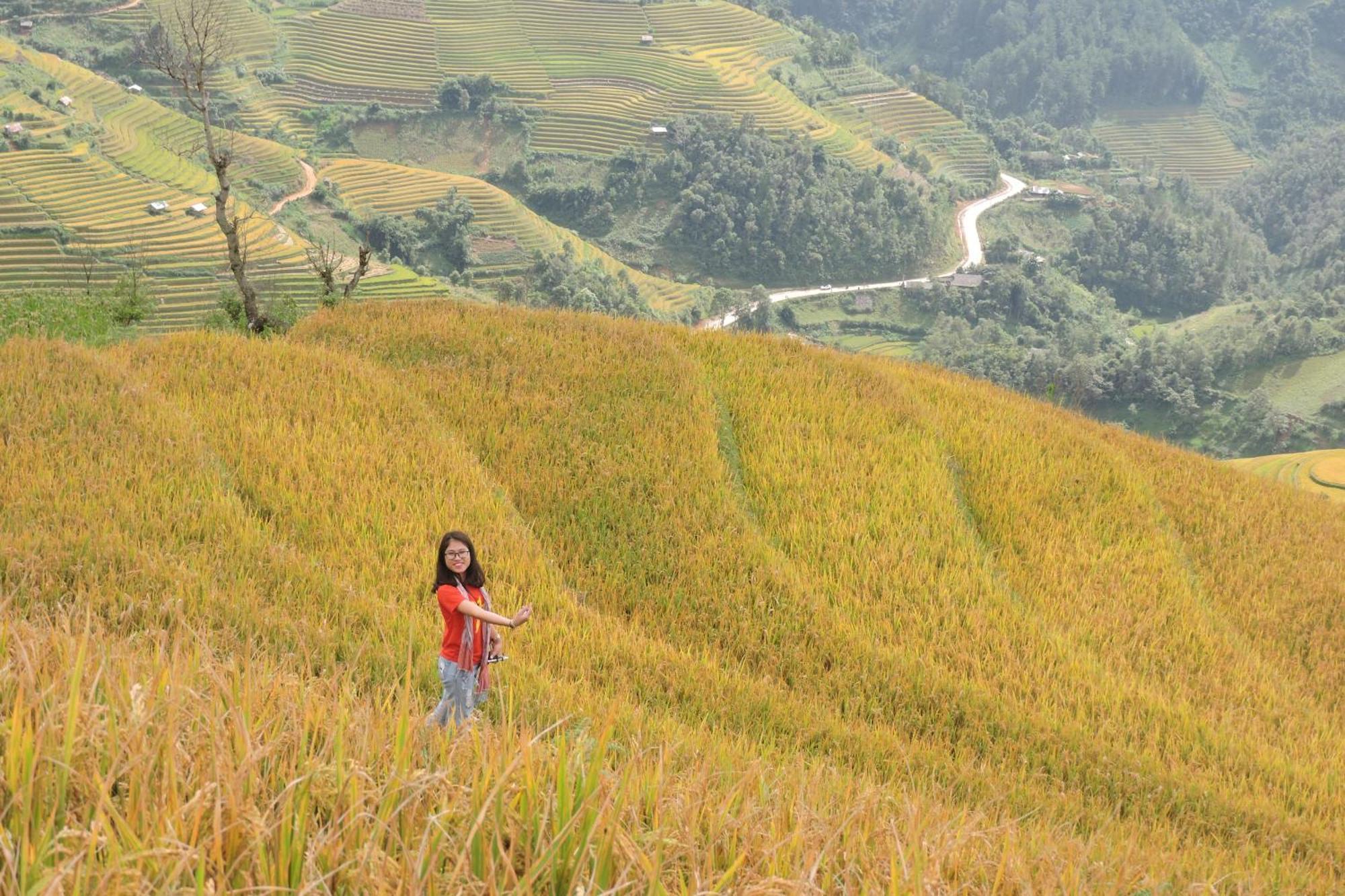 Hello Mu Cang Chai Homestay & Tours Chambre photo