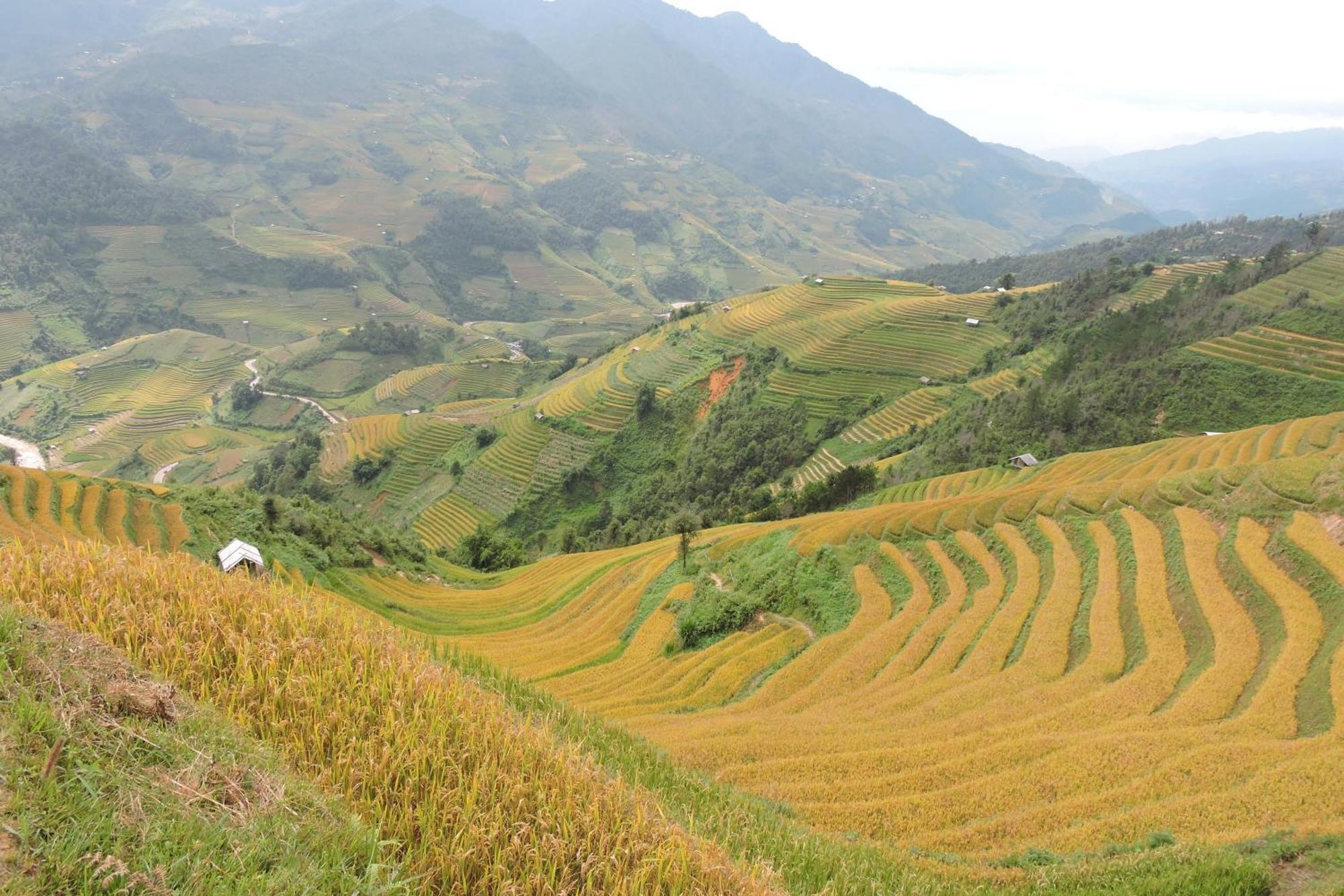 Hello Mu Cang Chai Homestay & Tours Chambre photo