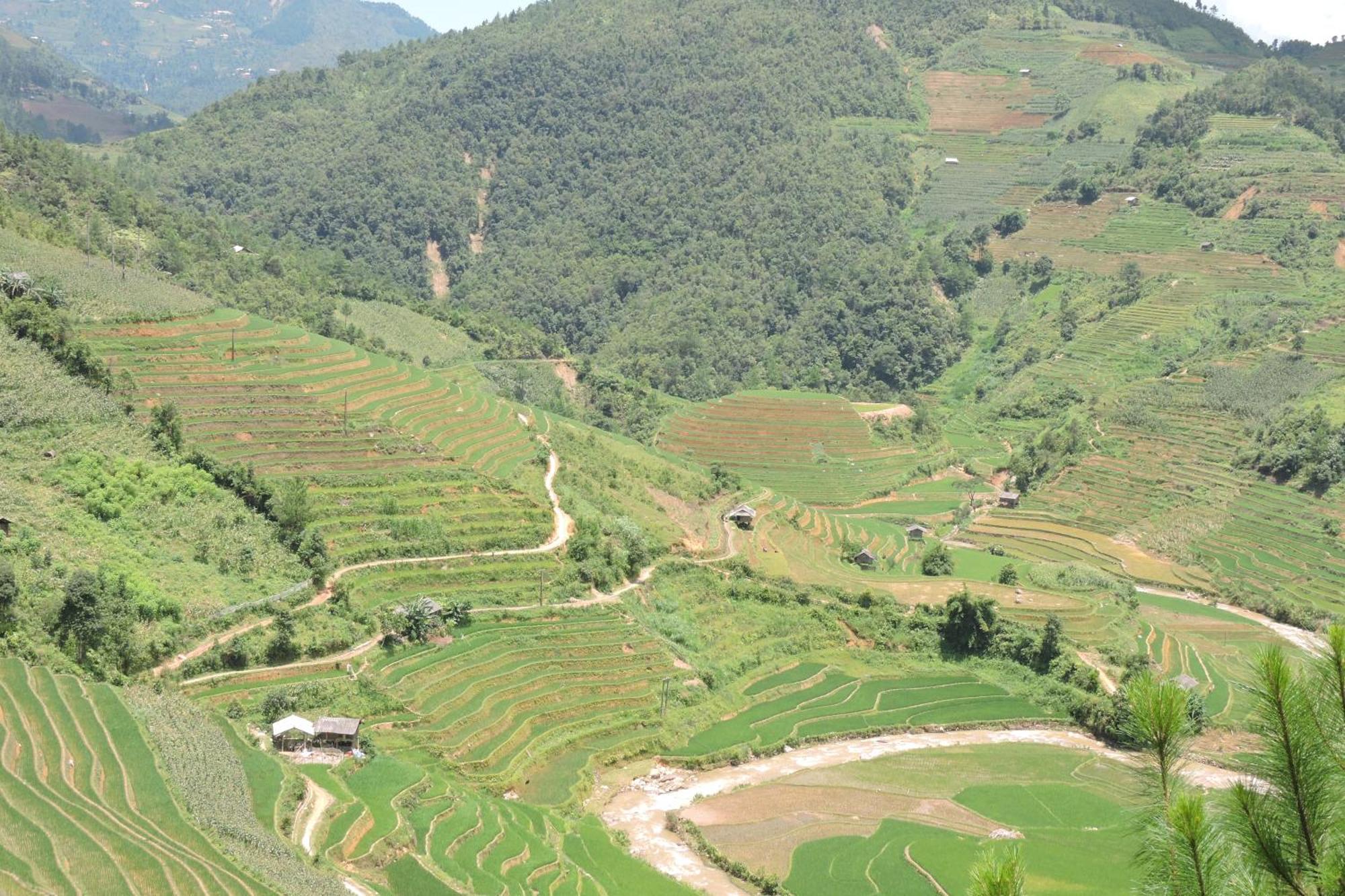 Hello Mu Cang Chai Homestay & Tours Extérieur photo