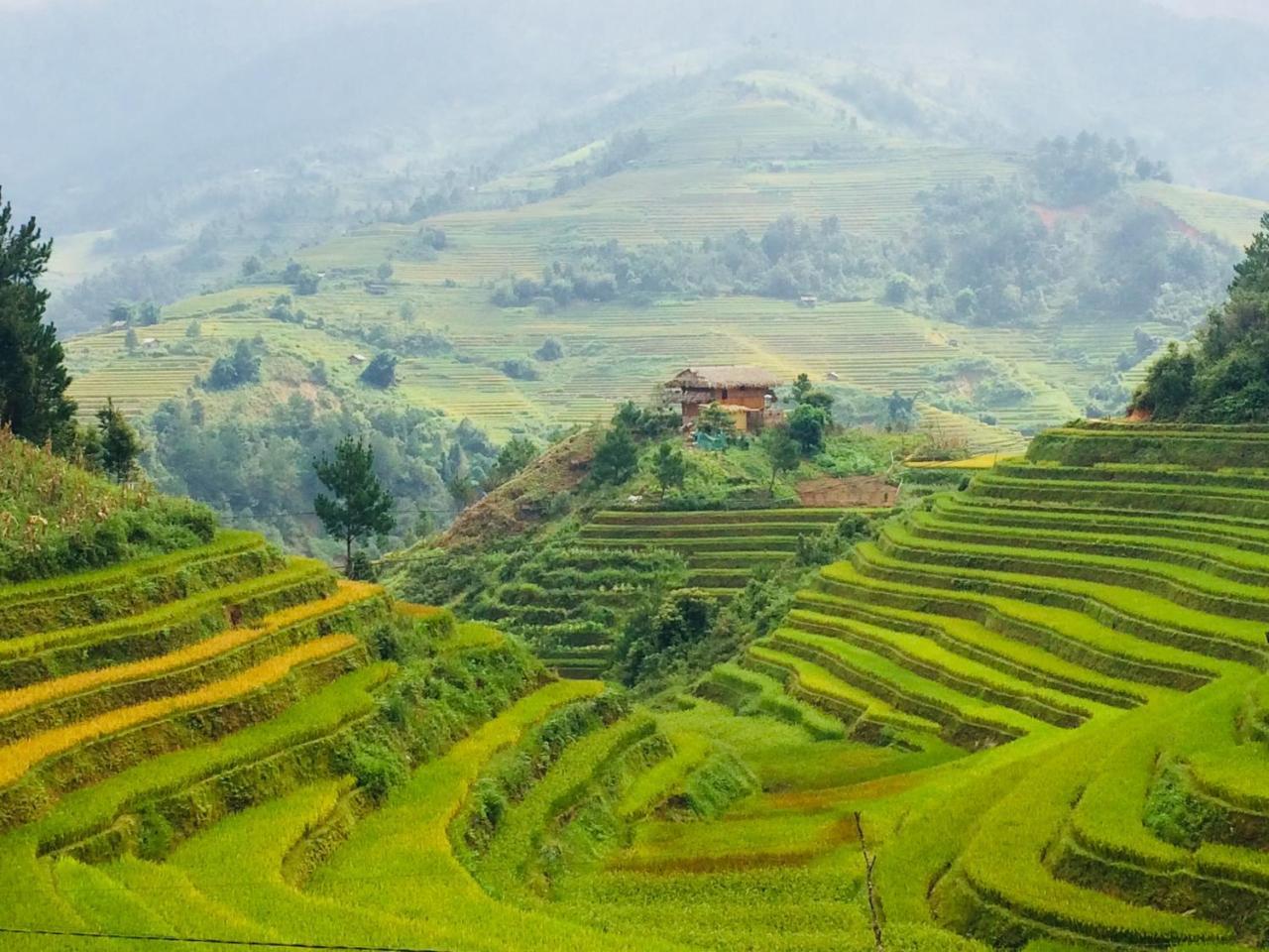 Hello Mu Cang Chai Homestay & Tours Extérieur photo