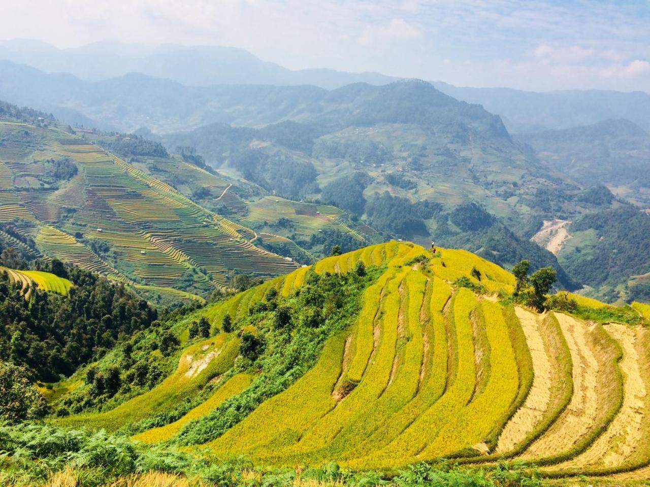 Hello Mu Cang Chai Homestay & Tours Extérieur photo